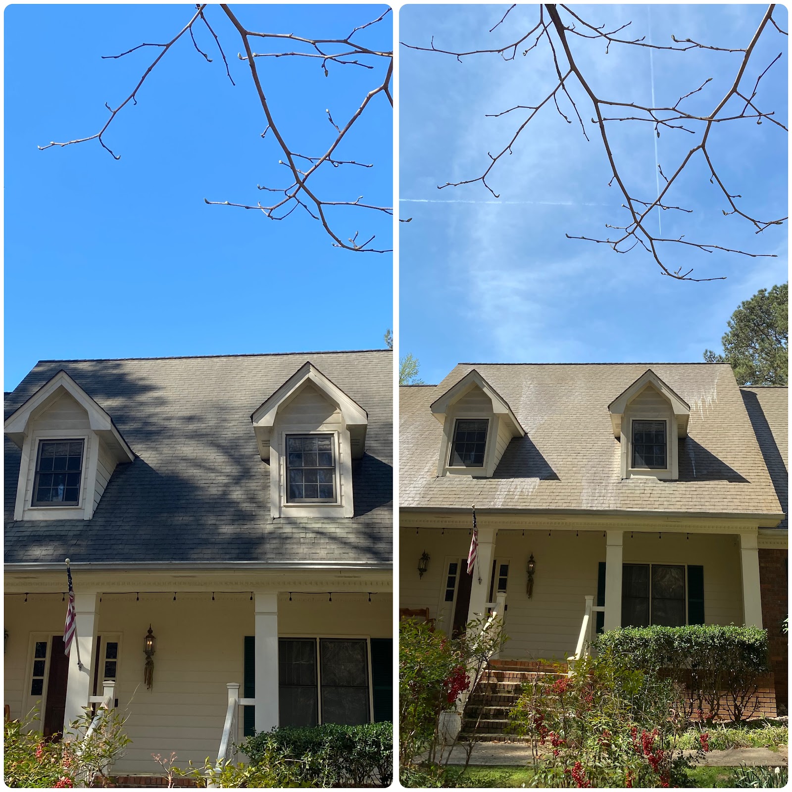 Golden Choice Pro-Wash — white ranch home roof and soffit before and after — moss and algae lifted